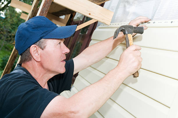 Affordable Siding Repair and Maintenance Services in Wilson, PA